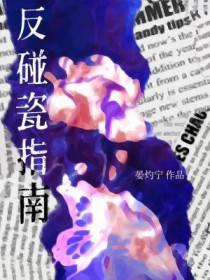 碰瓷专业术语