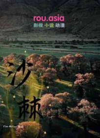 沙棘是什么东西