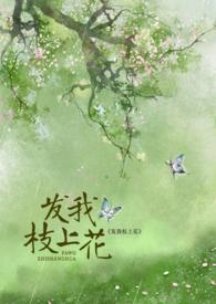发我枝上花po笔趣阁无弹窗