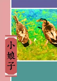 锦鲤小娘子