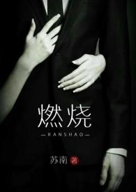 燃烧原著免费