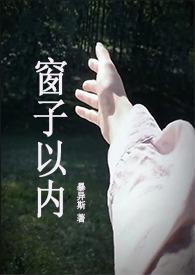 窗子以外 窗子的含义