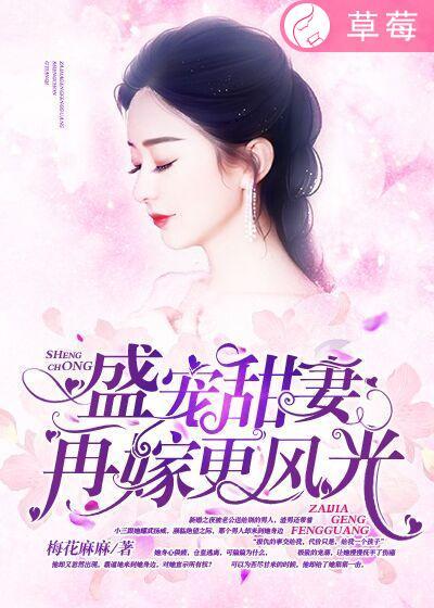 再婚盛宠纪