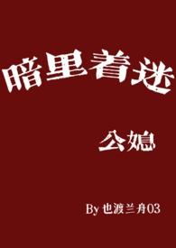 暗里着迷公媳笔趣阁无弹窗免费