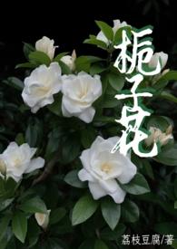 桅子花的
