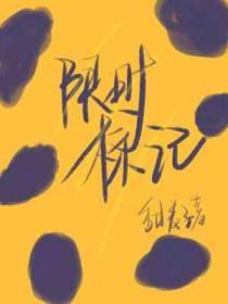 限时限速的标志是什么