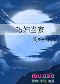巧妇喜当家txt