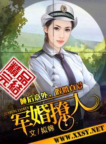 陆战霆顾晚的军婚