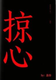 掠心作者盈春