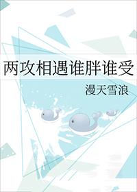 两攻相遇txt