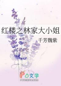 红楼之林家大少爷txt