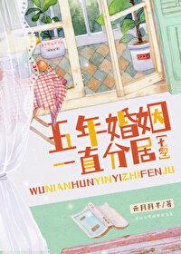婚姻5年之离
