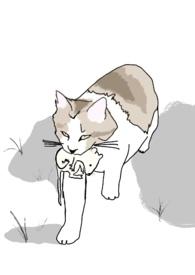 十八线就等你退婚了全文阅读