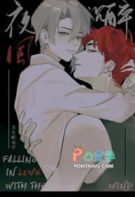 夜风沉醉电视剧全集