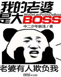 我的老婆是大BOSS百度百科