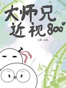 大师兄他平易近人起点