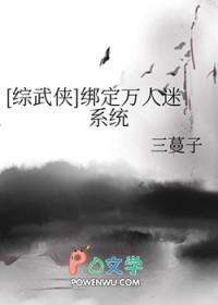 综武侠万人迷光环