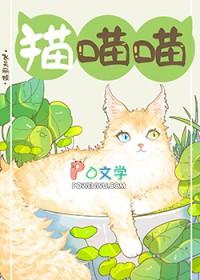 捡到的流浪猫怎么办