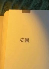 皮囊(出轨)百度