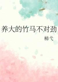 竹马宠不停