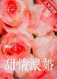 甜情第24章