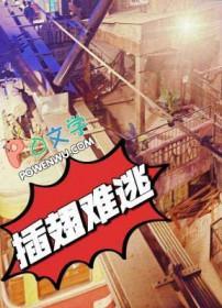 插翅难逃电视剧50全集在线观看