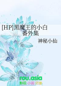 hp黑魔王在穿越是哈弗吗
