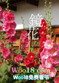 镜花glrro