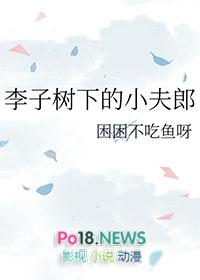 李子树下的小夫郎TXT