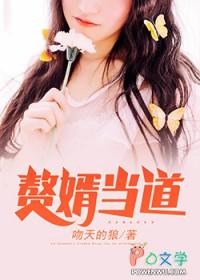 赘婿当道1638