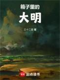 箱子里的大明笔趣阁