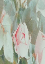 谁来拯救我的下下签