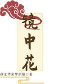 镜中花是什么物理现象