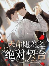 天命阴差之绝对契合在线阅读