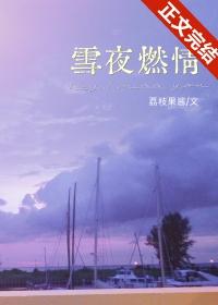 雪夜情书