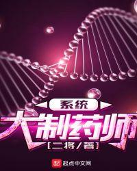 大制药师系统 二将