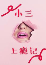 小三上瘾记不可注册的免费阅读