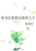 穿书后我替反派养儿子红甘泉