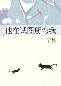 他在试图掰弯我 作者宁悬