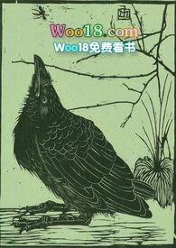 空壳竹碎碎叶给你猜猜不着打一植物