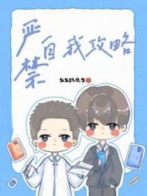 严禁自我攻略TXT资源