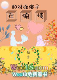 和对面傻子偷晴