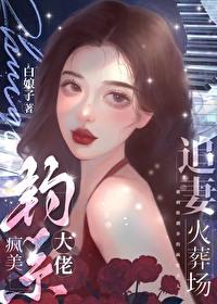 疯美钓系大佬追妻火葬场全文免费