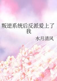 反叛系统激