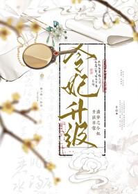 清穿之令贵妃晋升记全文免费阅读