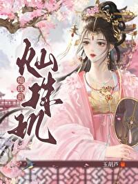 灿珠玑txt书包网