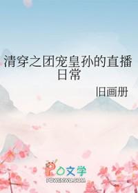 清穿之团宠太子爷全文免费阅读