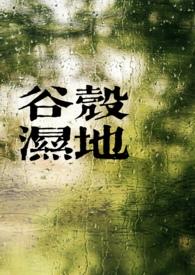 谷壳是什么东西