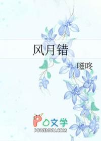 风月错歌词表达的意思是什么