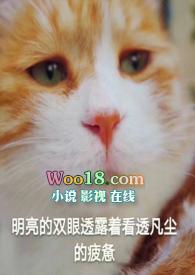 未婚先孕abo番外